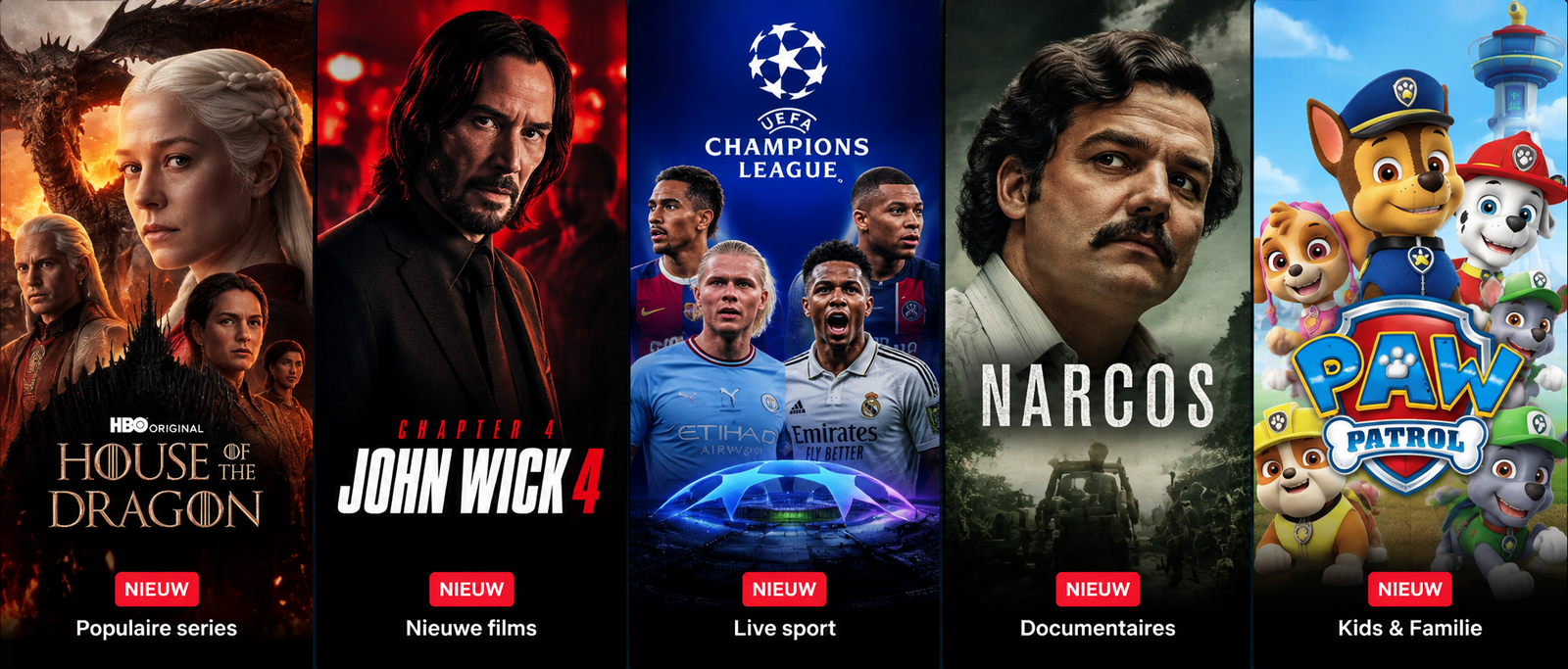 Cinematic Streaming Poster Grid